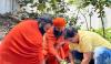 प्राकृतिक उद्यान में औषधीय पौधों का रोपण किया